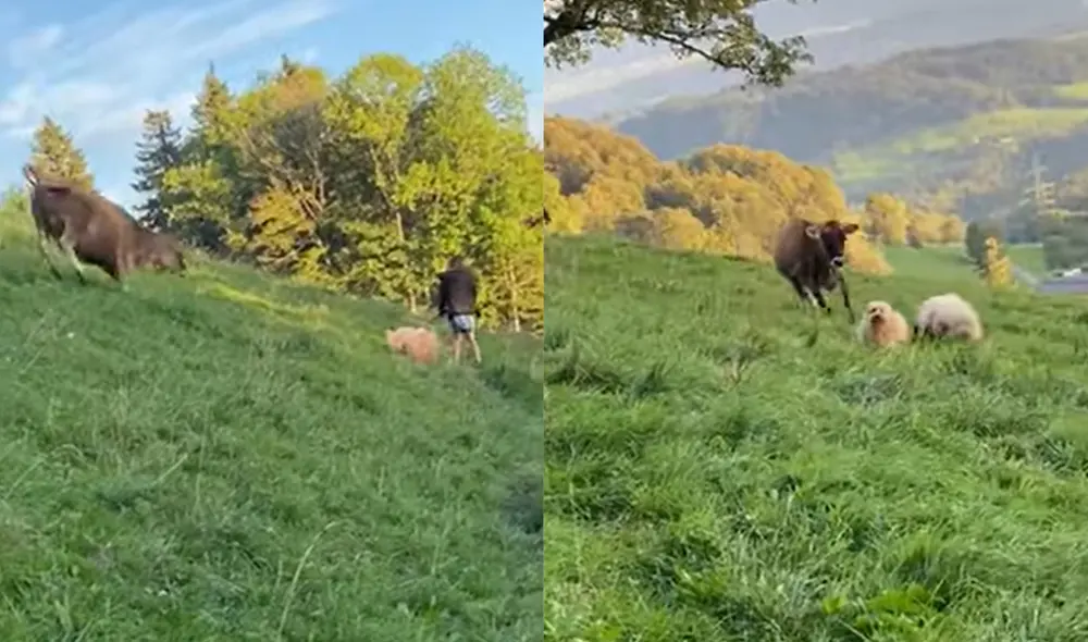 La montaña está ubicada en Bachtel, Suiza. Foto: captura de YouTube