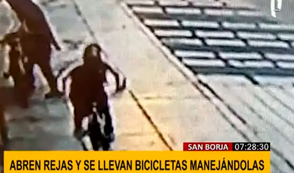 Los delincuentes usaron herramientas para abrir la reja y sustraer los vehículos. Foto: captura de Panamericana