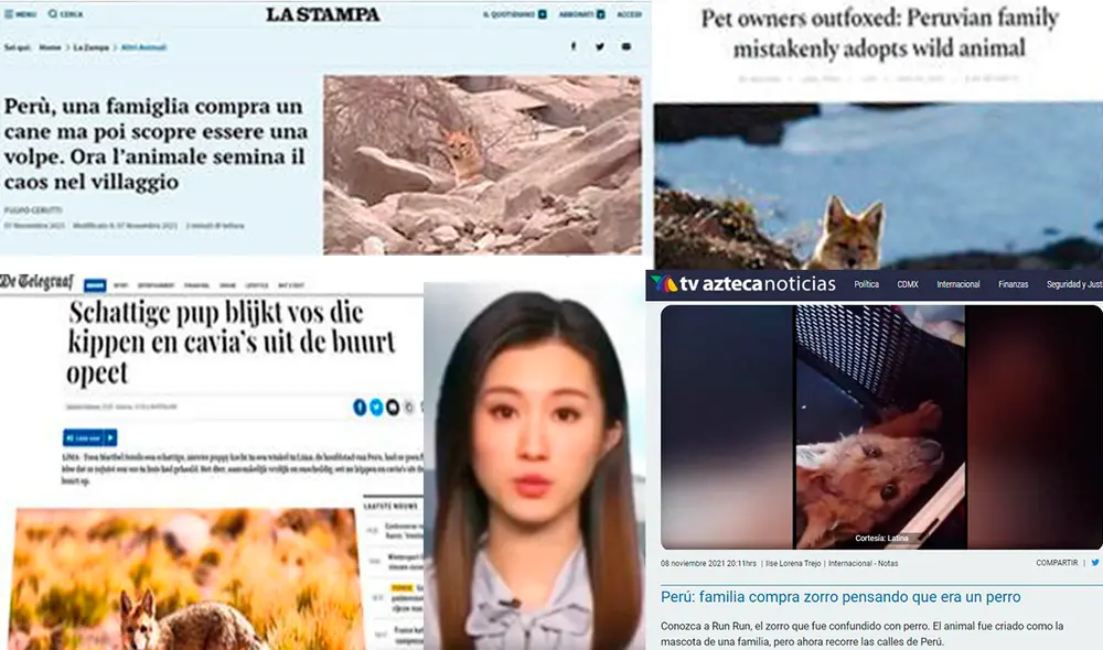 Run Run recorrió el mundo. Desde nuestra región hasta China, los informativos reportaron las peripecias de esta familia en Comas. Foto: composición LR