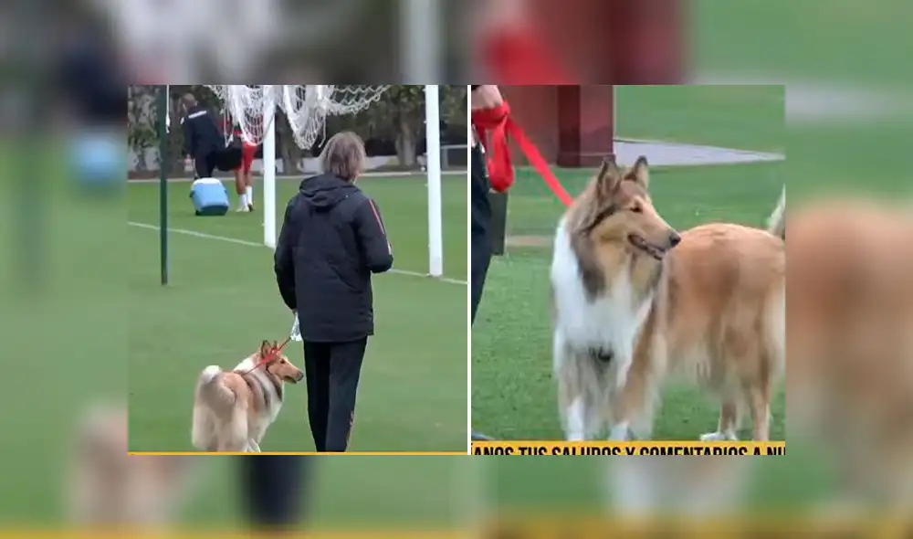 Ricardo Gareca podría alinear en el ataque a Sergio Peña, André Carrillo, Christian Cueva y Gianluca Lapadula. Foto: captura FPF Play Ricardo Gareca podría alinear en el ataque a Sergio Peña, André Carrillo, Christian Cueva y Gianluca Lapadula. Foto: captura FPF Play