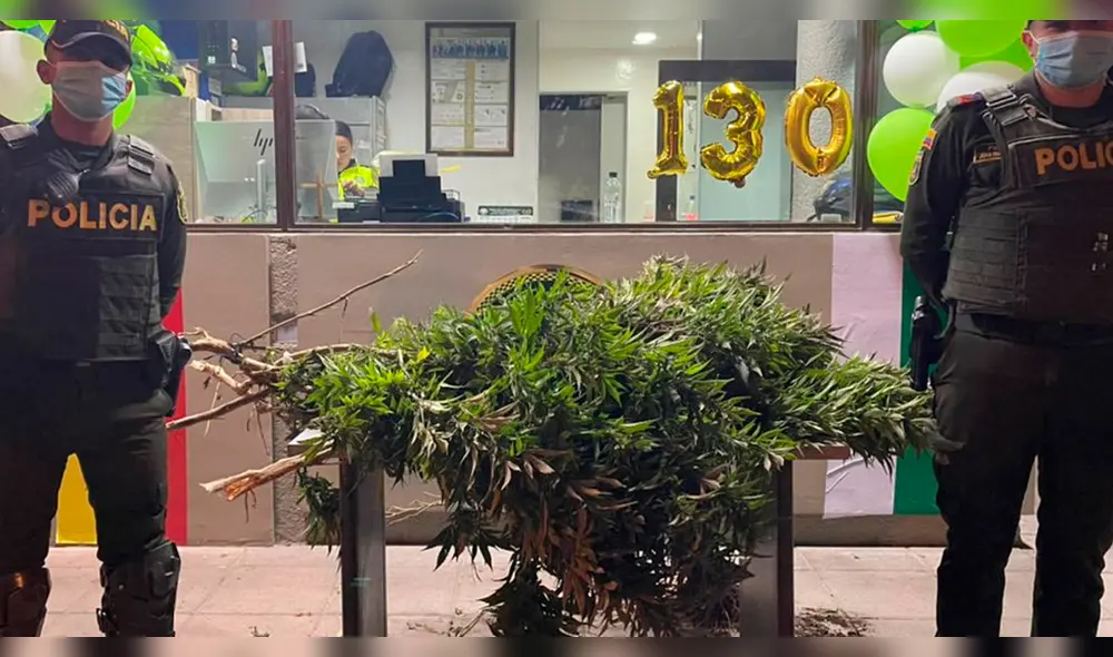 El extraño hecho ocurrió en un concurrido parque de Bogotá. Foto: CAI de Fontanar