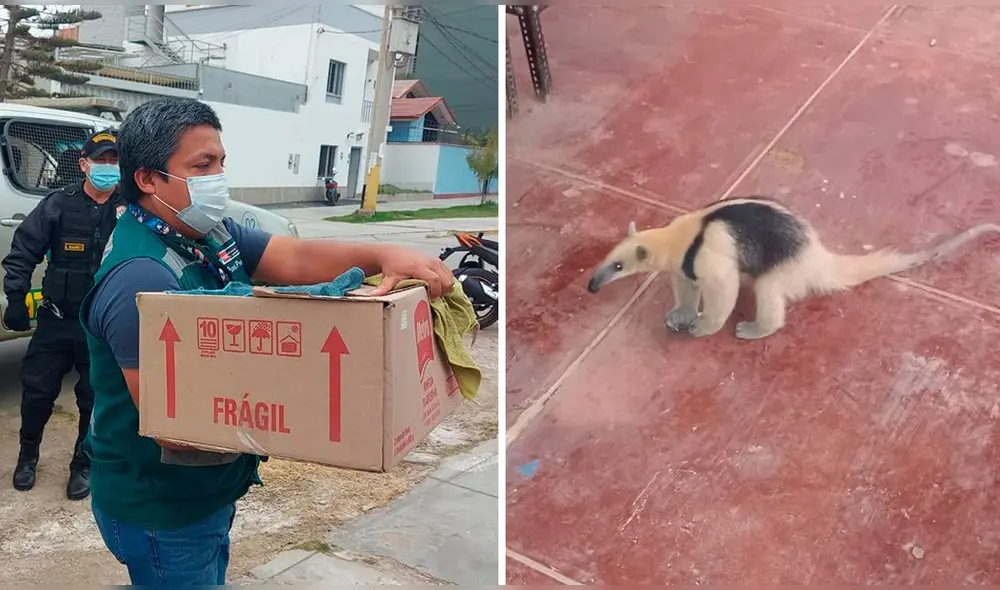 . Foto: composición LR