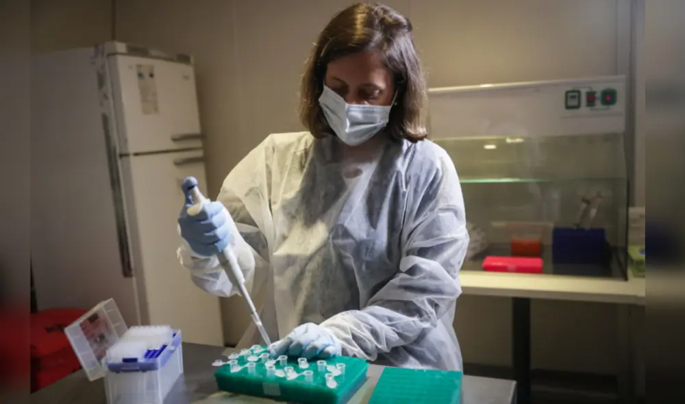 El Día Mundial de la Ciencia para la Paz y el Desarrollo persigue el objetivo dea acercar la ciencia a la sociedad Foto: EFE El Día Mundial de la Ciencia para la Paz y el Desarrollo persigue el objetivo dea acercar la ciencia a la sociedad Foto: EFE