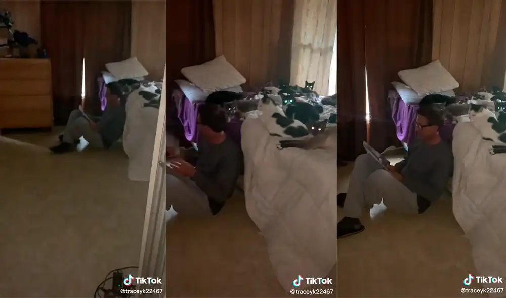 El sujeto desarrolló una sensacional escena junto con sus mascotas en el interior de su hogar. Foto: captura de TikTok