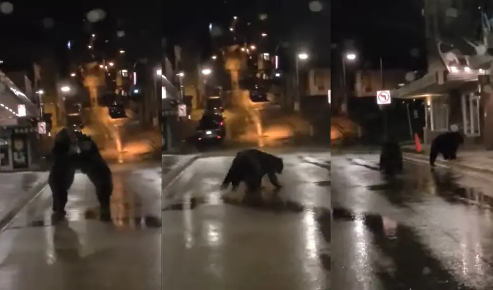 El taxi fue conducido por un hombre, quien emitió algunas palabras. Foto: captura de YouTube El taxi fue conducido por un hombre, quien emitió algunas palabras. Foto: captura de YouTube