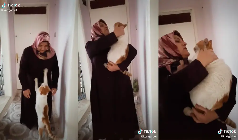 Los peculiares protagonistas causaron sensación en las redes con su enternecedora interacción. Foto: captura de TikTok Los peculiares protagonistas causaron sensación en las redes con su enternecedora interacción. Foto: captura de TikTok