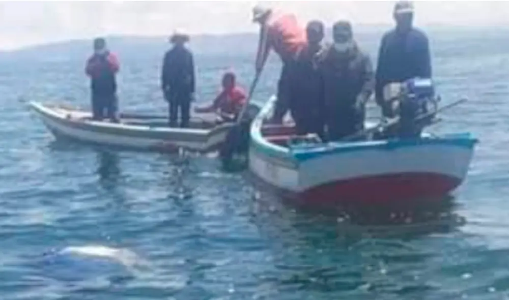 Continúan las labores de búsqueda en el Lago Titicaca. Foto: difusión Continúan las labores de búsqueda en el Lago Titicaca. Foto: difusión