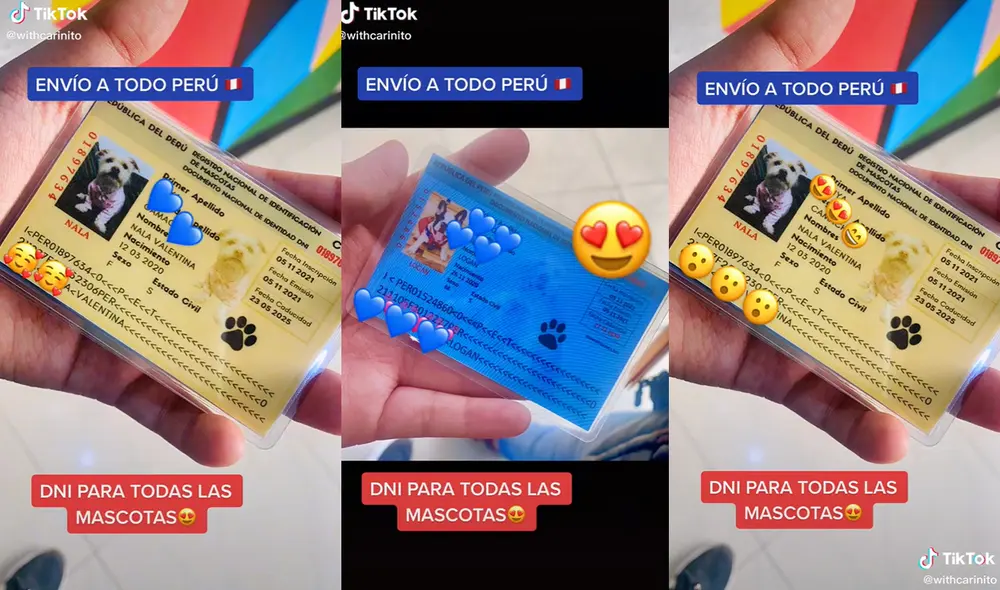 Algunos usuarios pidieron el DNI para el conocido zorro Run Run. Foto: captura de TikTok