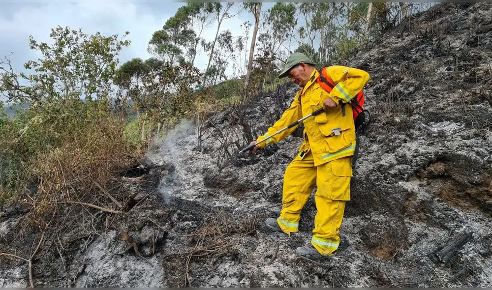 Siniestro no logra ser controlado debido a las características del combustible de bosque seco. Foto: Sernanp