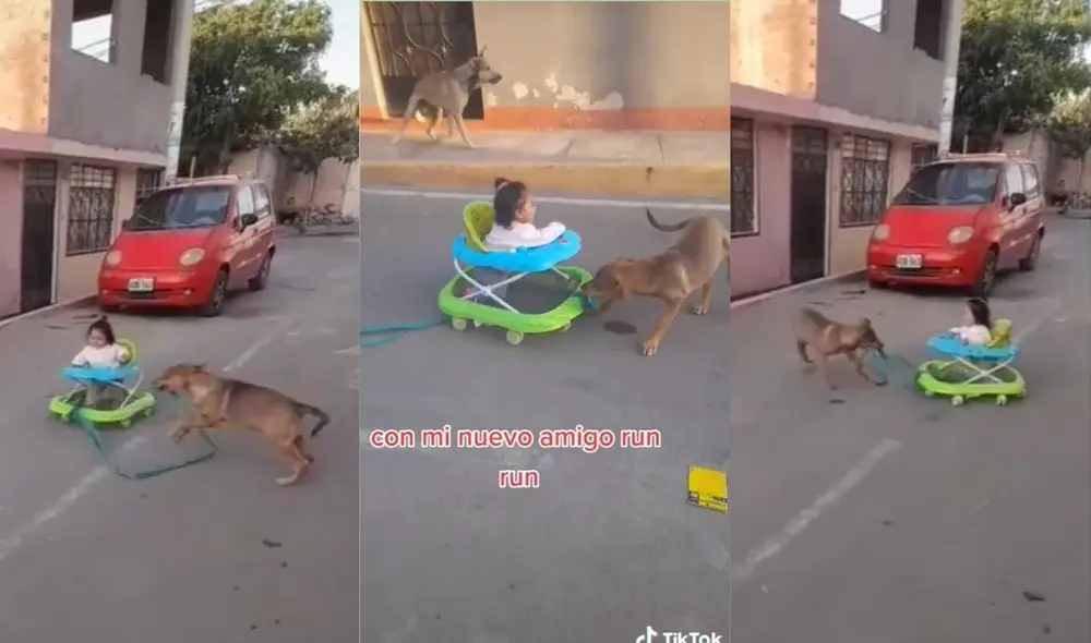 Algunas personas se preocuparon por la menor; sin embargo, el usuario mostró que tanto el perro como la niña estaban bajo su cuidado. Foto: captura de TikTok