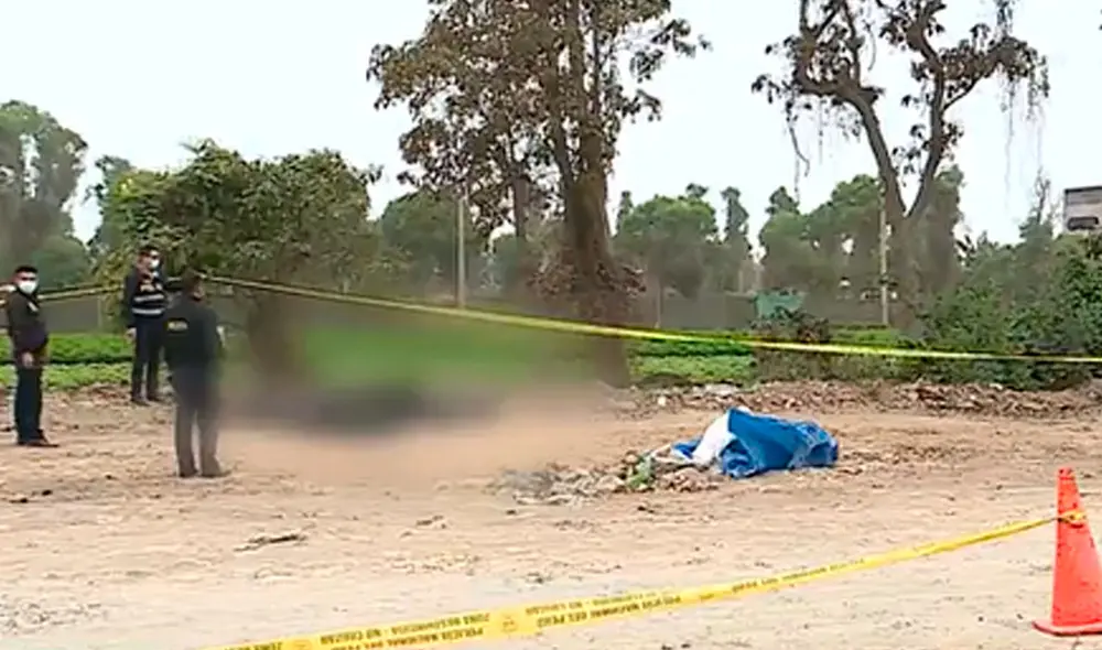 Peritos identificaron a los cuerpos calcinados, se trata de dos hombres de nacionalidad venezolana. Foto: captura de América TV