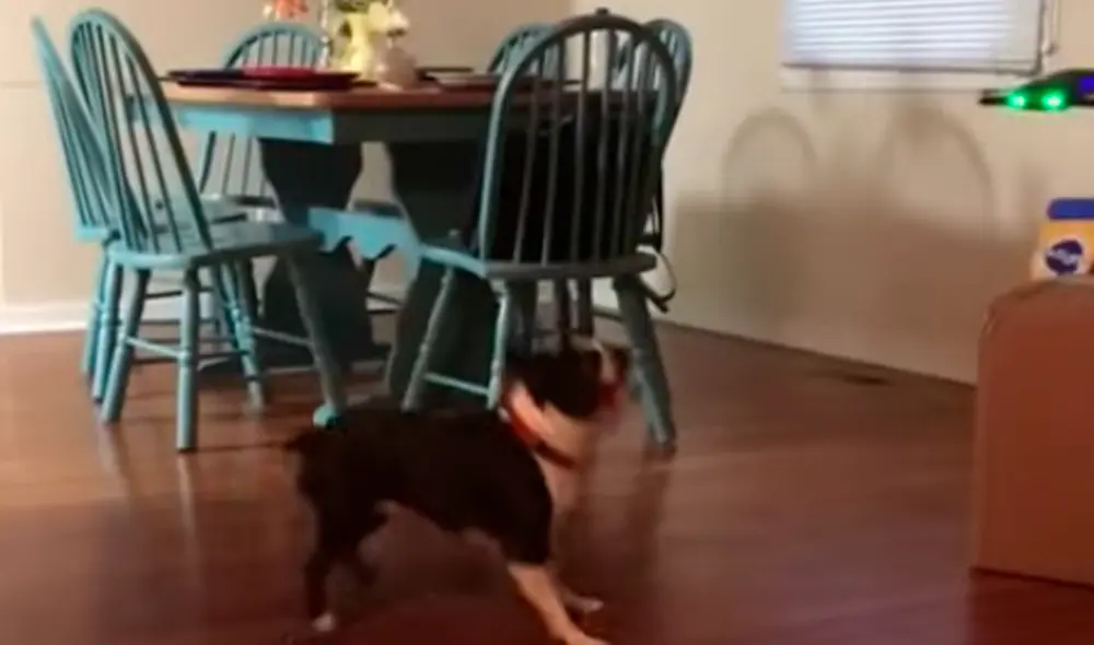 El video ha sido compartido en la página Rumble Viral. Foto: captura de Facebook El video ha sido compartido en la página Rumble Viral. Foto: captura de Facebook