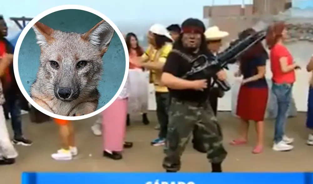 Run Run mantuvo al Perú paralizado tras conocer su sorpresiva historia. Foto: captura ATV/Andina