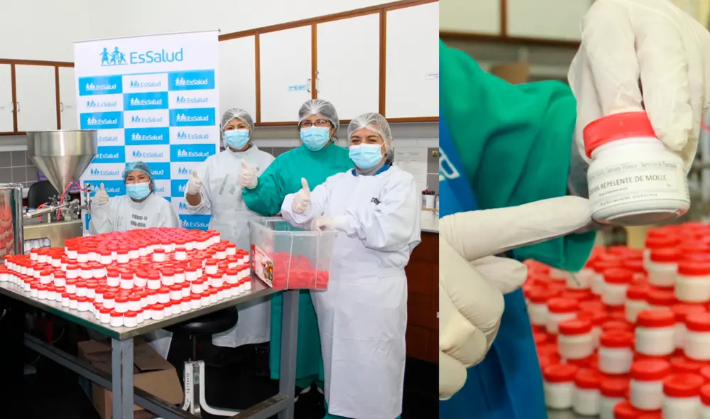 El dengue es una enfermedad que se transmite a través de la picadura del mosquito Aedes Aegipti. Foto: EsSalud