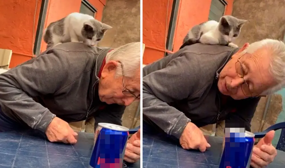Una joven grabó un tierno momento entre su abuelo y su querida mascota, luego de que se llenaron de caricias al estar juntos por primera vez. Foto: captura de Facebook
