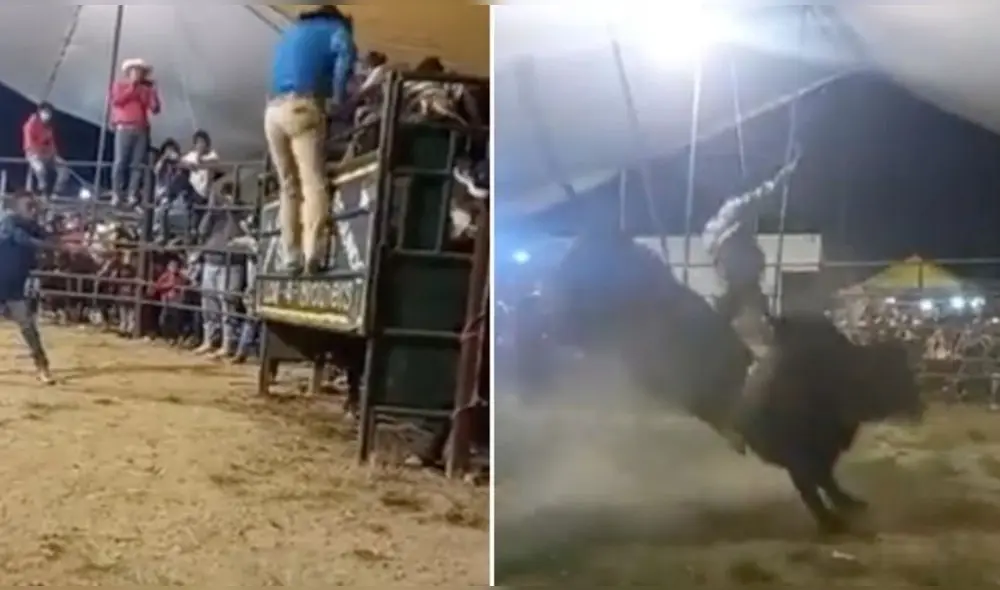 'El niño de oro’ realizaba su hazaña sobre el animal cuando trastabilló en una de las vueltas. Foto: captura de Telemundo 'El niño de oro’ realizaba su hazaña sobre el animal cuando trastabilló en una de las vueltas. Foto: captura de Telemundo