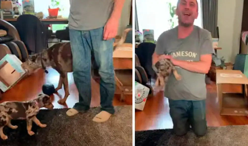 El video ha sido compartido en la página ViralHog. Foto: captura de Facebook El video ha sido compartido en la página ViralHog. Foto: captura de Facebook