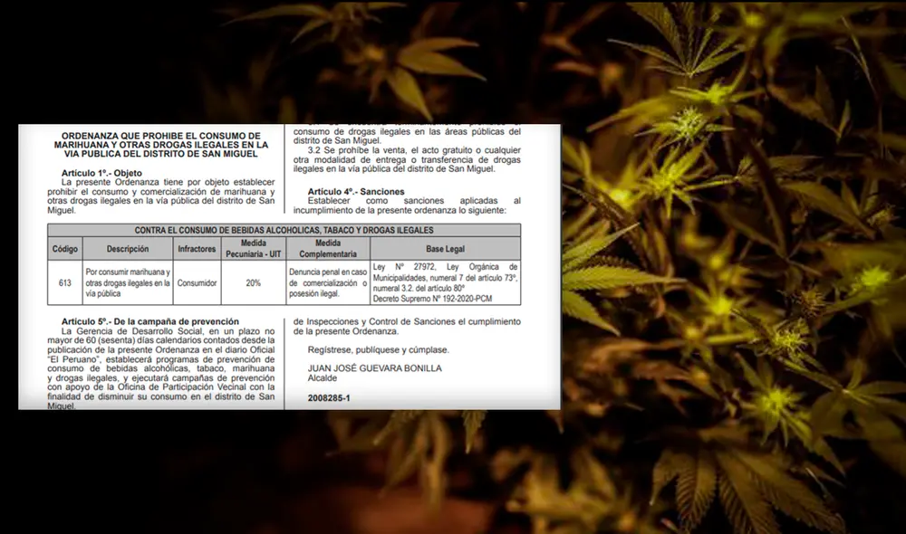 La activista cannabica Rosario Grados declara que estas medidas que criminalizan la marihuana no hacen que las personas dejen de consumir, sino que continúan estigmatizando a los usuarios de esta planta. Foto: composición LR/EFE/Municipalidad de San Miguel