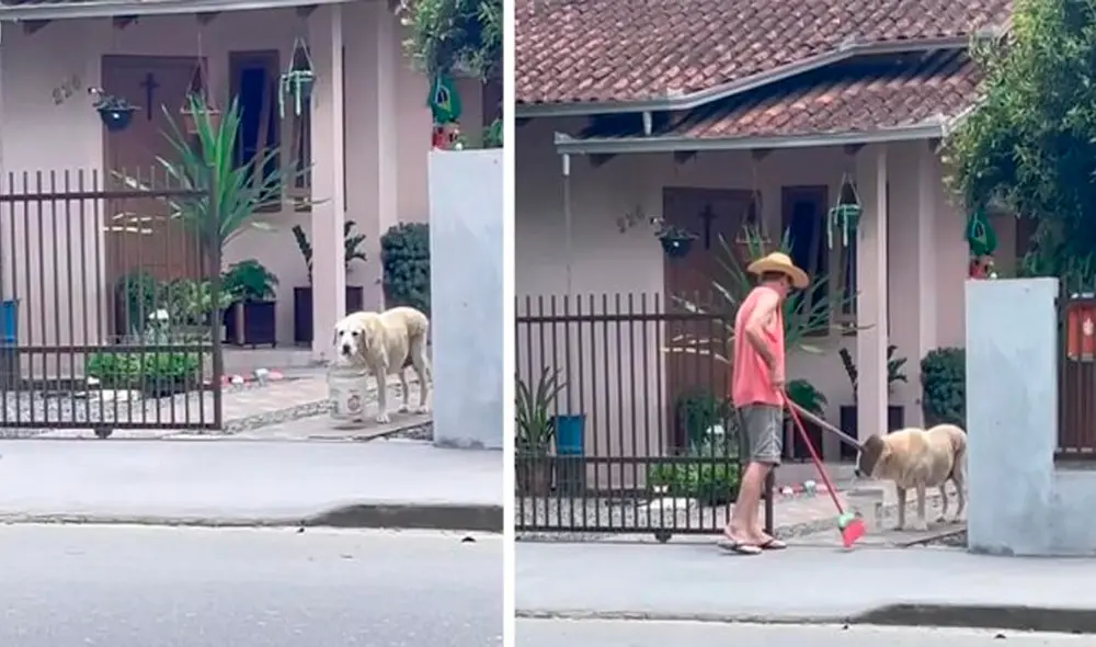 Muchas personas disfrutaron las imágenes del adorable perro apoyando a su cuidador en las labores domésticas. Foto: captura de Facebook Muchas personas disfrutaron las imágenes del adorable perro apoyando a su cuidador en las labores domésticas. Foto: captura de Facebook