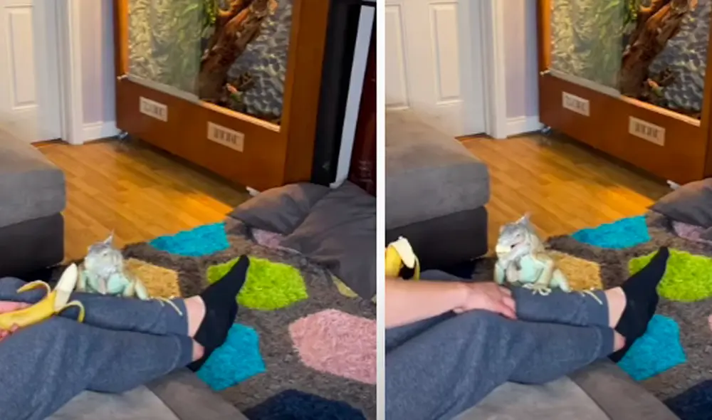 El video ha sido compartido en la página BVIRAL. Foto: captura de Facebook