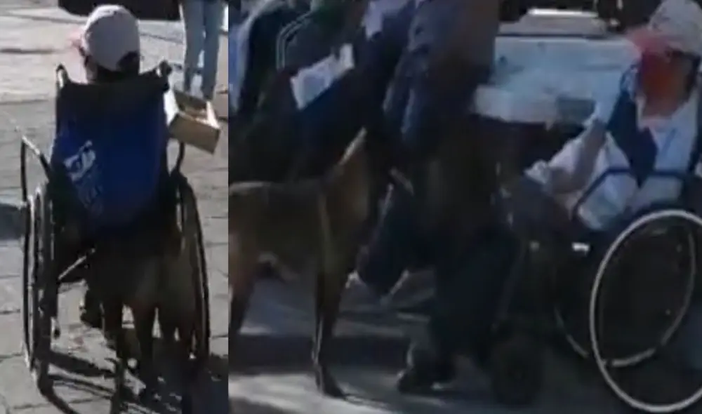 Perrita empuja silla de ruedas de su dueño con discapacidad
