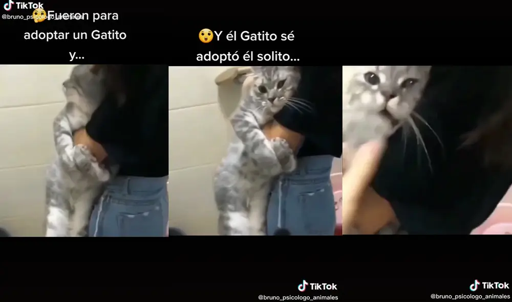 El clip está acompañado del tema musical "Un velero llamado libertad". Foto: captura de TikTok