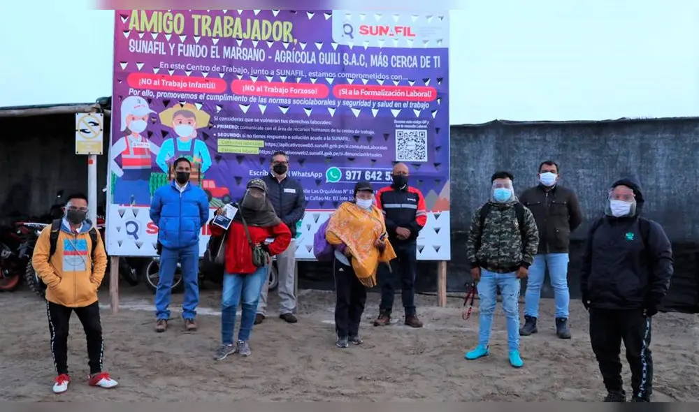 Sunafil instaló paneles informativos ‘Infochamba’ en empresas agrarias del norte. Foto: Sunafil.