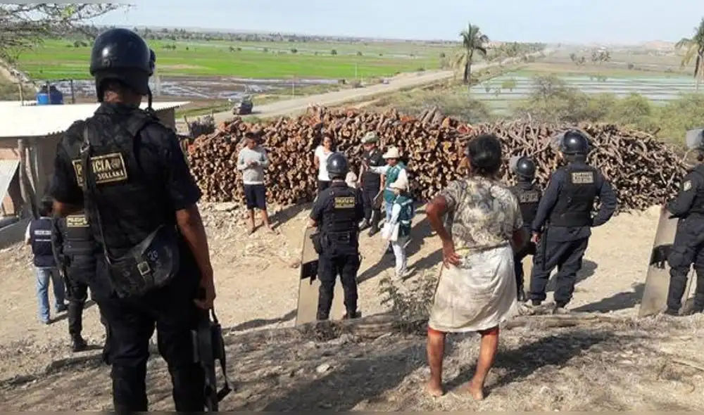 Tala ilegal preocupa en la región Piura. Foto: archivo La República Tala ilegal preocupa en la región Piura. Foto: archivo La República
