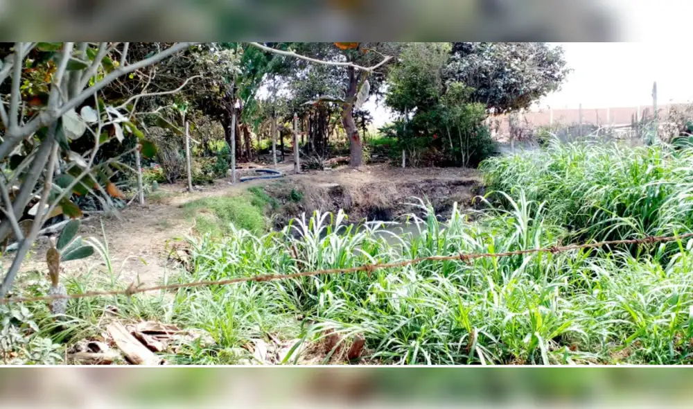 El ente de control detectó que Epsel verte aguas residuales en el Dren 3100. Foto: La República El ente de control detectó que Epsel verte aguas residuales en el Dren 3100. Foto: La República