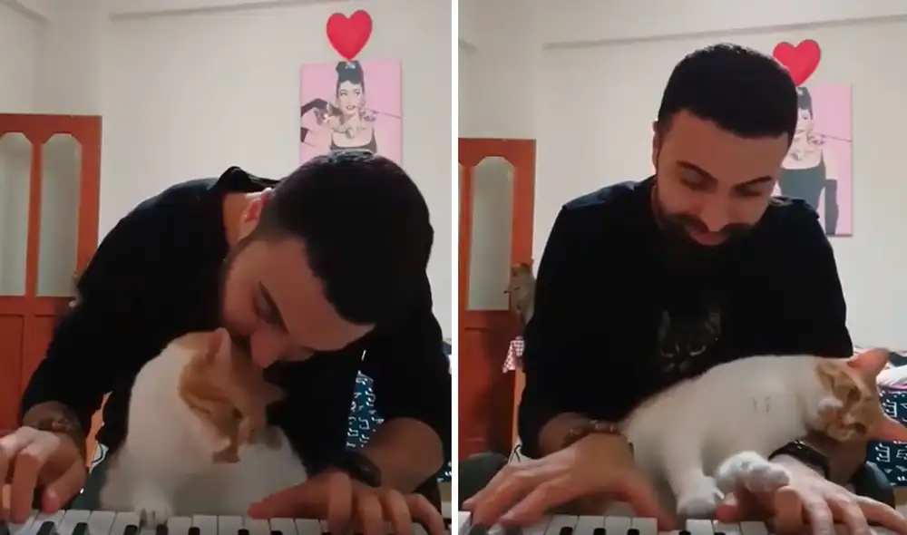 Un joven comenzó a tocar su piano cuando fue sorprendido por su mascota que se sentó en sus rodillas para acompañarlo en ese momento. Foto: captura de Facebook Un joven comenzó a tocar su piano cuando fue sorprendido por su mascota que se sentó en sus rodillas para acompañarlo en ese momento. Foto: captura de Facebook