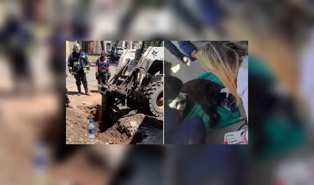 El rescate contó con la ayuda de los bomberos. Foto: captura de Facebook