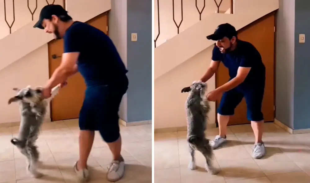 Un joven aprovechó que no había nadie en su casa para jugar a la ‘ronda’ con su adorable mascota; sin embargo, fueron descubiertos. Foto: captura de Facebook