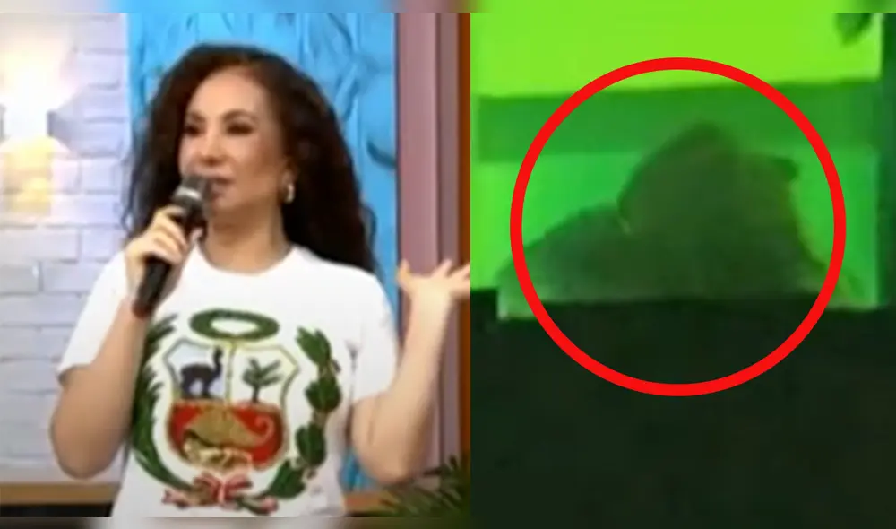 Janet Barboza y Luciana Fuster y Patricio Parodi. Foto: composición/ captura América TV/captura Magaly TV Janet Barboza y Luciana Fuster y Patricio Parodi. Foto: composición/ captura América TV/captura Magaly TV