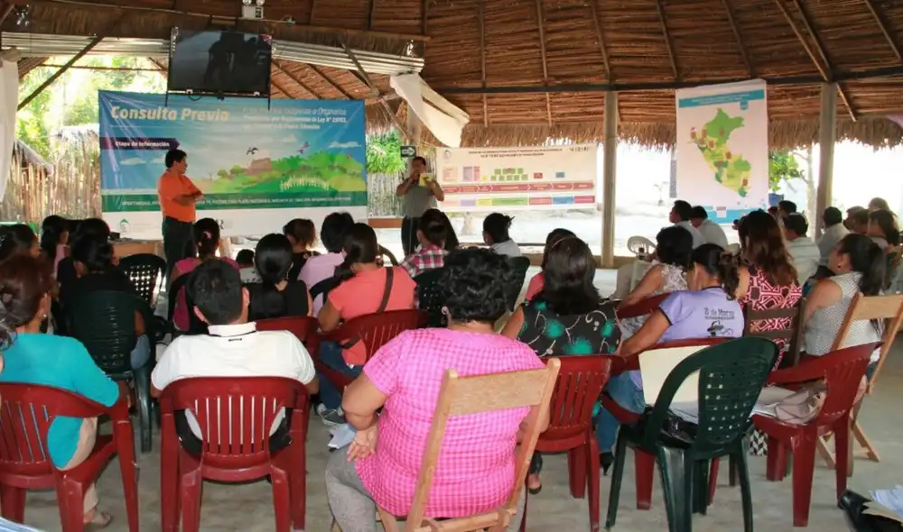 El carácter político evidencia una relación entre autodeterminación, consentimiento y consulta previa. Foto: Andina