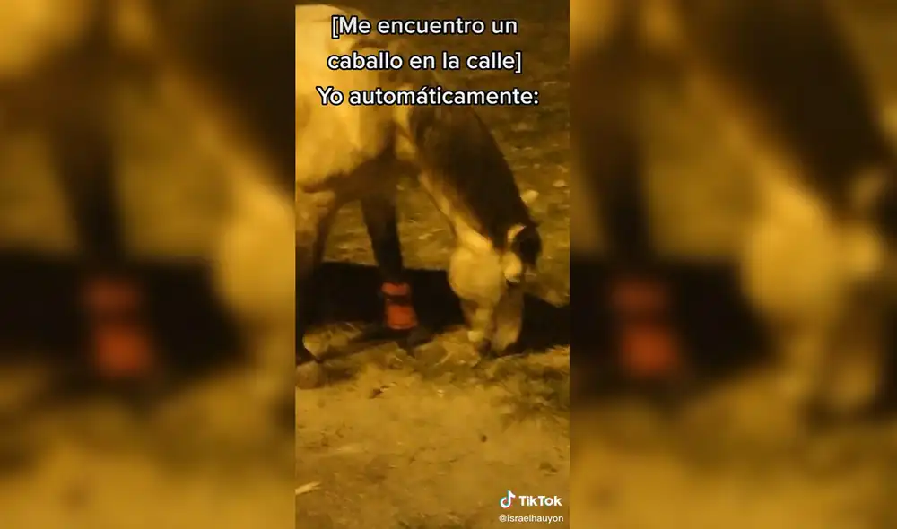 El joven tuvo la ocurrencia de cantar el tema de una película animada cuyo protagonista es un caballo. Foto: captura de TikTok