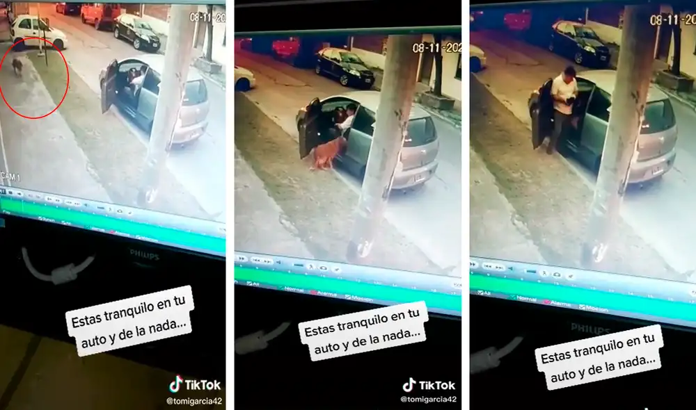 El perrito no dudó en subirse a un auto de un extraño. Dicha acción conmovió a los usuarios en redes sociales. Foto: captura de TikTok El perrito no dudó en subirse a un auto de un extraño. Dicha acción conmovió a los usuarios en redes sociales. Foto: captura de TikTok