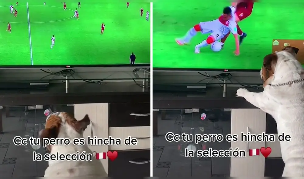 @marielcondorchuao compartió la escena que hasta el momento ha sumado más de 102.700 reproducciones. Foto: captura de TikTok @marielcondorchuao compartió la escena que hasta el momento ha sumado más de 102.700 reproducciones. Foto: captura de TikTok