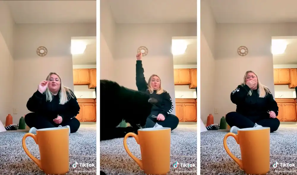 Usuarios en las diferentes plataformas de internet donde fue publicado el viral no pararon de reír con la acción del gatito. Foto: captura de TikTok