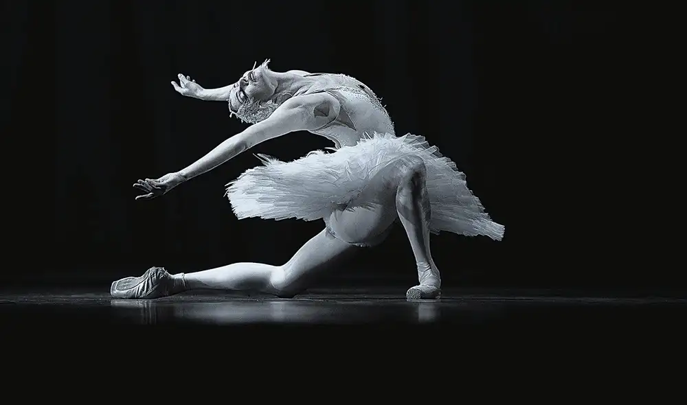 Belleza. A modo referencial del arte del ballet ruso, un pasaje de La muerte del cisne. Foto: difusión