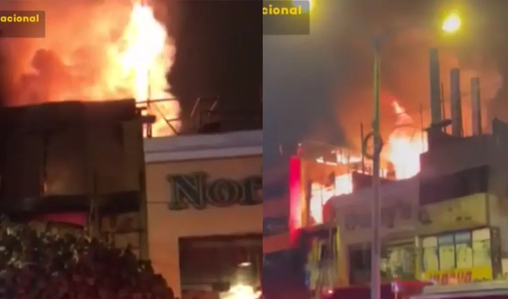 La librería no solo funcionaba como empresa, sino que también almacenaba todo tipo de papel. Foto: captura Latina / composición LR