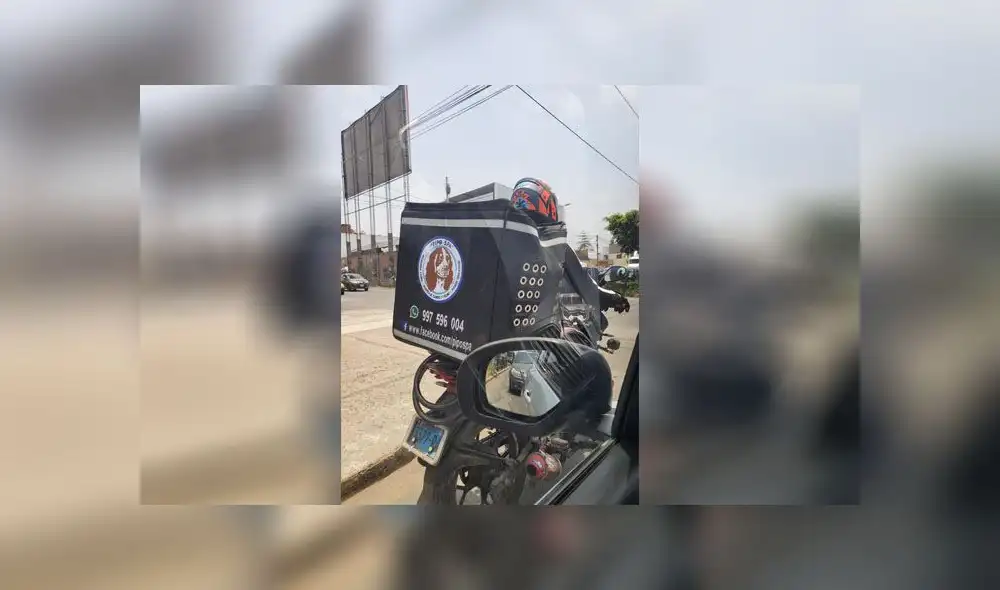 Motorizado trasladó a mascota en medio de un intenso calor. Foto: Whatsapp LR