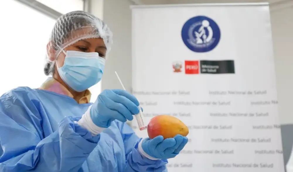 Estudio fue titulado como "Presencia del SARS-CoV-2 en superficies de alimentos y otras superficies de espacios públicos en distritos de Lima Metropolitana". Foto: INS Estudio fue titulado como "Presencia del SARS-CoV-2 en superficies de alimentos y otras superficies de espacios públicos en distritos de Lima Metropolitana". Foto: INS