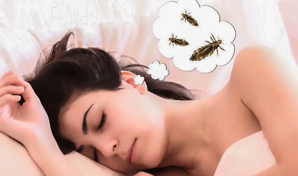 Soñar con piojos no siempre tiene un significado negativo. Todo dependerá del contexto.