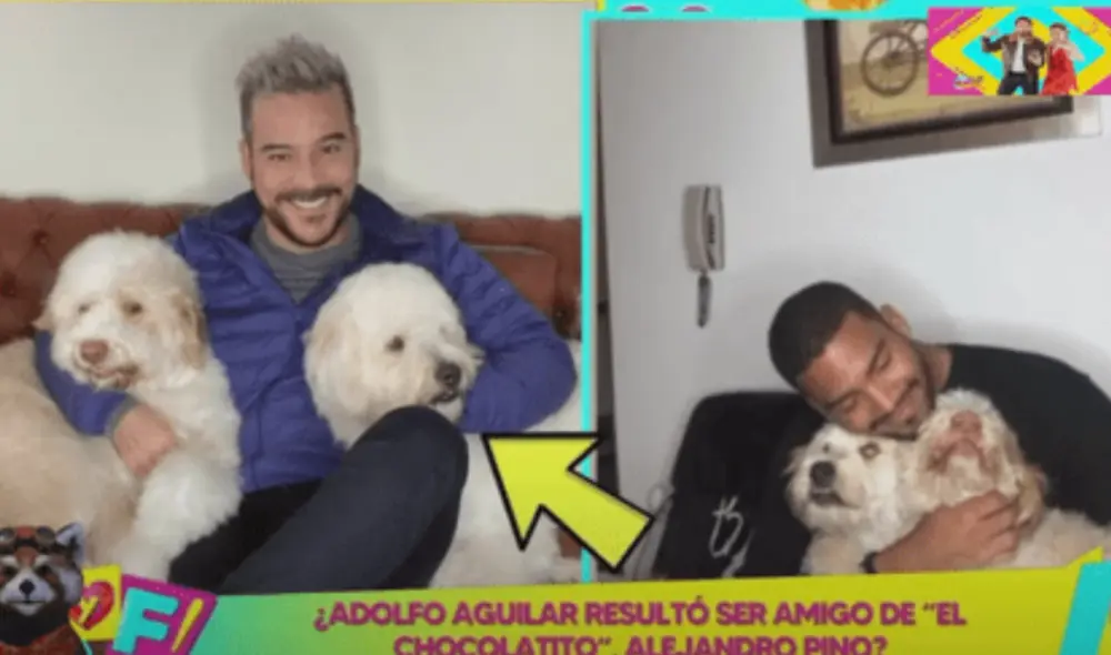 Amor y fuego dio a conocer fotos donde Adolfo Aguilar y Alejandro Pina posan con las mismas mascotas. Foto: captura de Amor y fuego