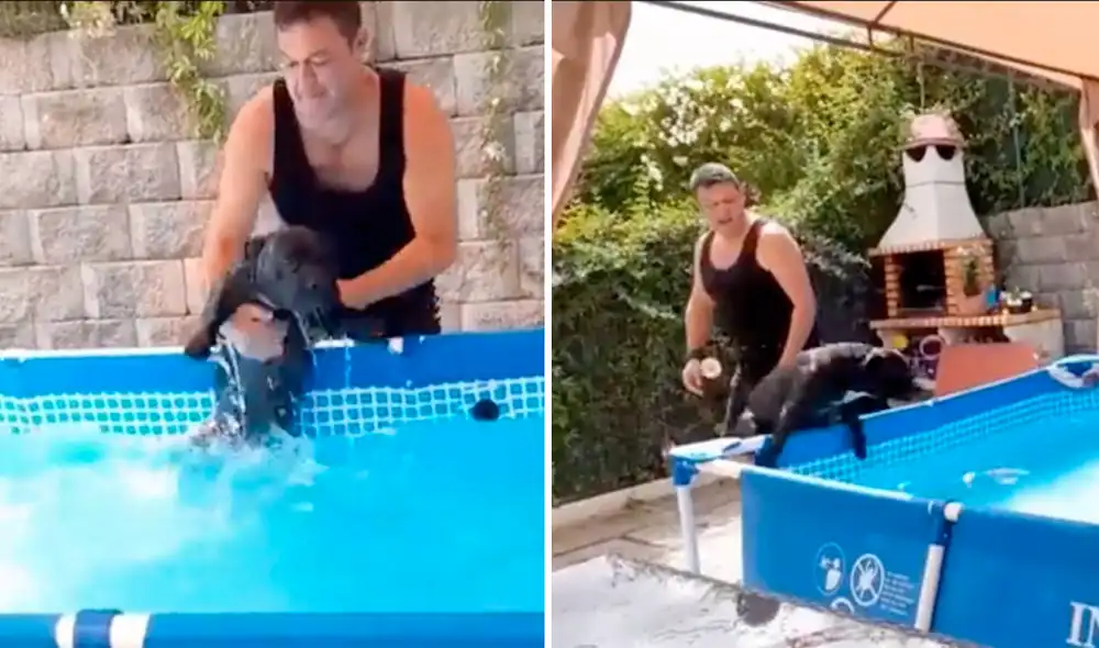 El perrito disfrutaba de una tarde soleada por lo que se negó a abandonar la piscina. Foto: captura de Facebook El perrito disfrutaba de una tarde soleada por lo que se negó a abandonar la piscina. Foto: captura de Facebook