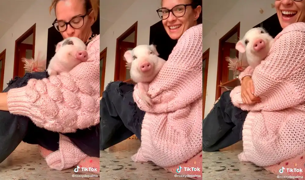 La mujer y su peculiar mascota causaron sensación en las redes con su tierna dinámica. Foto: captura de TikTok La mujer y su peculiar mascota causaron sensación en las redes con su tierna dinámica. Foto: captura de TikTok