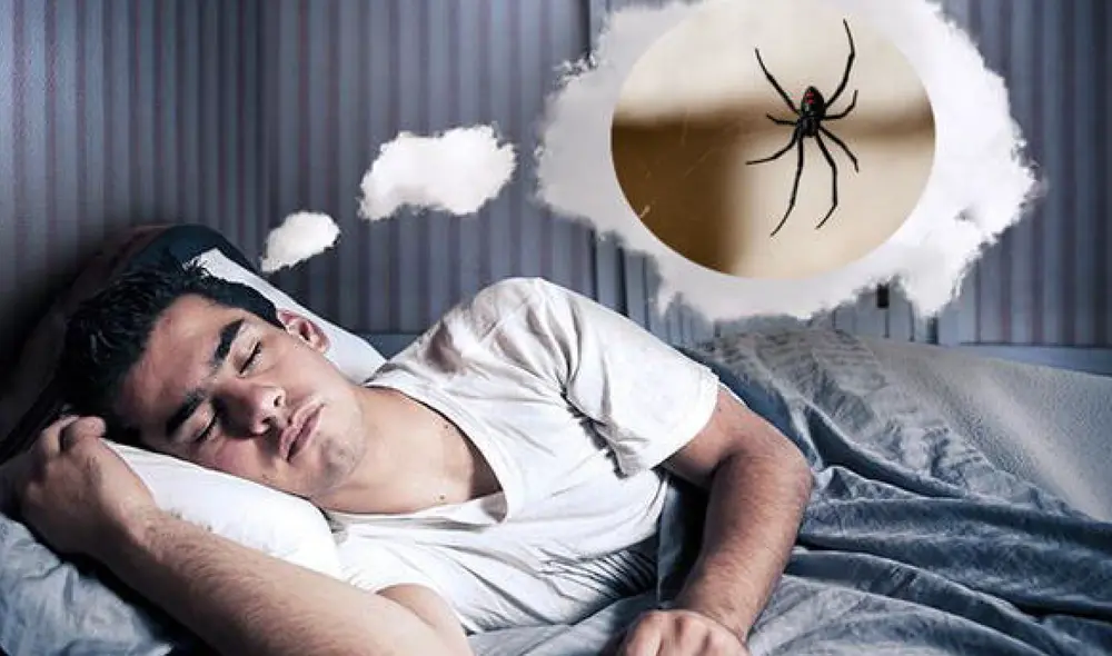 Las arañas simbolizan la capacidad creadora.