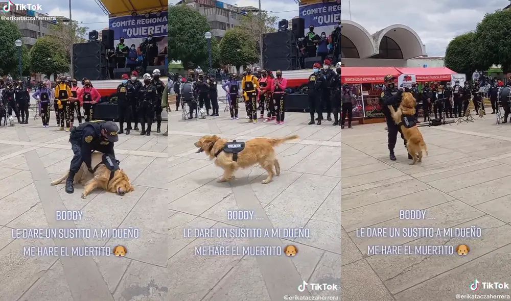 Alrededor del perrito estaba un gran número de integrantes del cuerpo policial. Foto: captura de TikTok