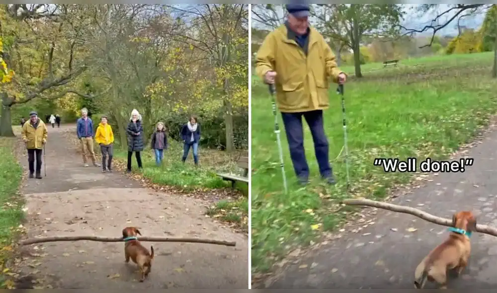 En la descripción del clip se lee lo siguiente: "¡Buscando contratar a este hombre como mi motivador personal!". Foto: captura de Instagram En la descripción del clip se lee lo siguiente: "¡Buscando contratar a este hombre como mi motivador personal!". Foto: captura de Instagram