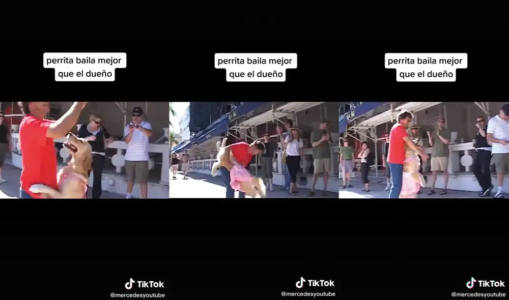 Muchas personas se reunieron para ver el divertido show. Foto: captura de TikTok Muchas personas se reunieron para ver el divertido show. Foto: captura de TikTok